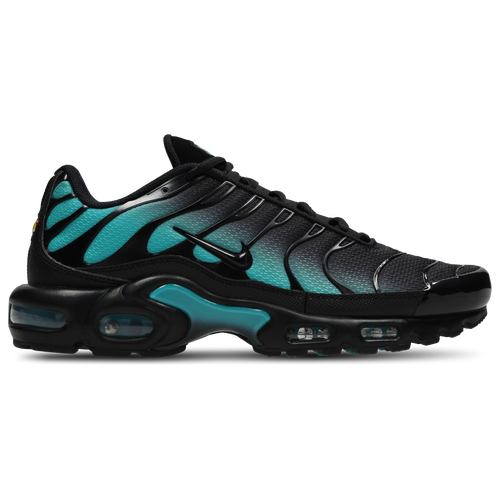 Nike Air Max Plus TN Black Dusty Cactus (2025) 8M & 9M & 9.5M & 10M & 11M & 12M & 13M