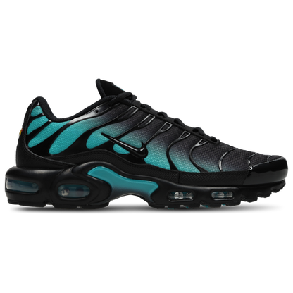 Nike Air Max Plus TN Black Dusty Cactus (2025) 8M & 9M & 9.5M & 10M & 11M & 12M & 13M